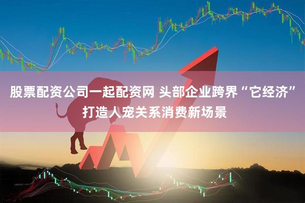 股票配资公司一起配资网 头部企业跨界“它经济” 打造人宠关系消费新场景