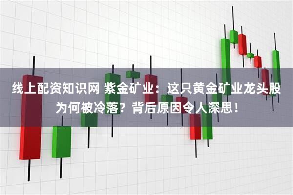 线上配资知识网 紫金矿业：这只黄金矿业龙头股为何被冷落？背后原因令人深思！