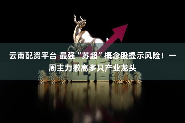 云南配资平台 最强“苏超”概念股提示风险！一周主力撤离多只产业龙头