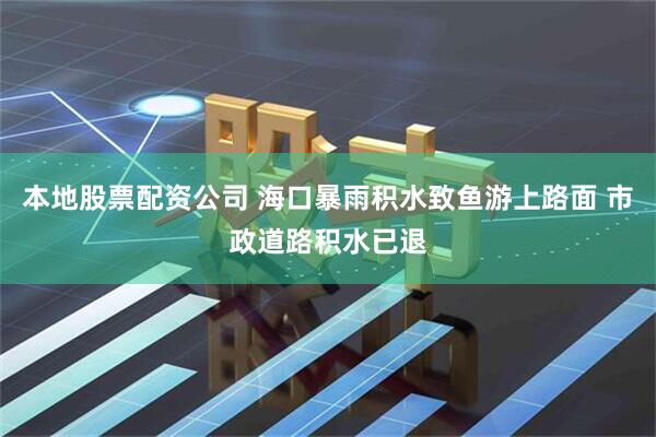 本地股票配资公司 海口暴雨积水致鱼游上路面 市政道路积水已退